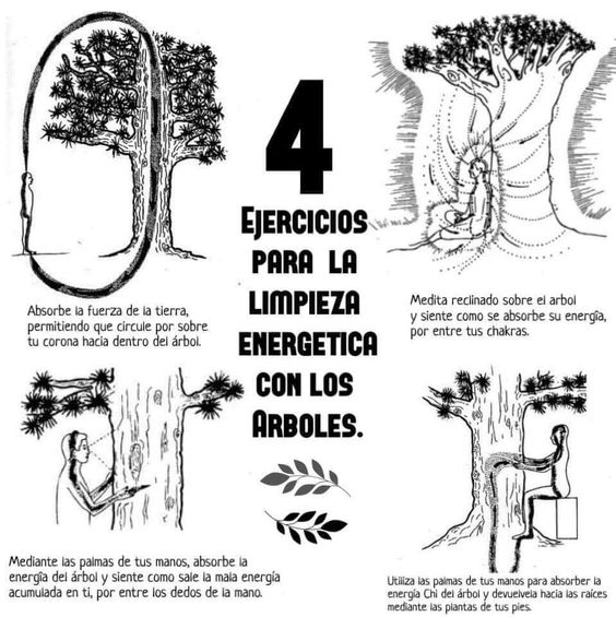 abraza arbol