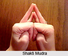shakti mudra