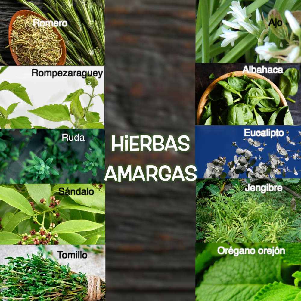 amargas
