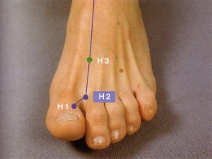 Punto H3 del Meridiano del Higado