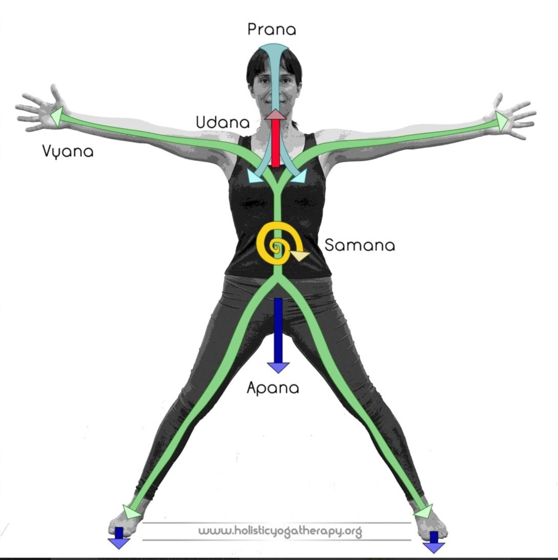 Las cinco energías vitales