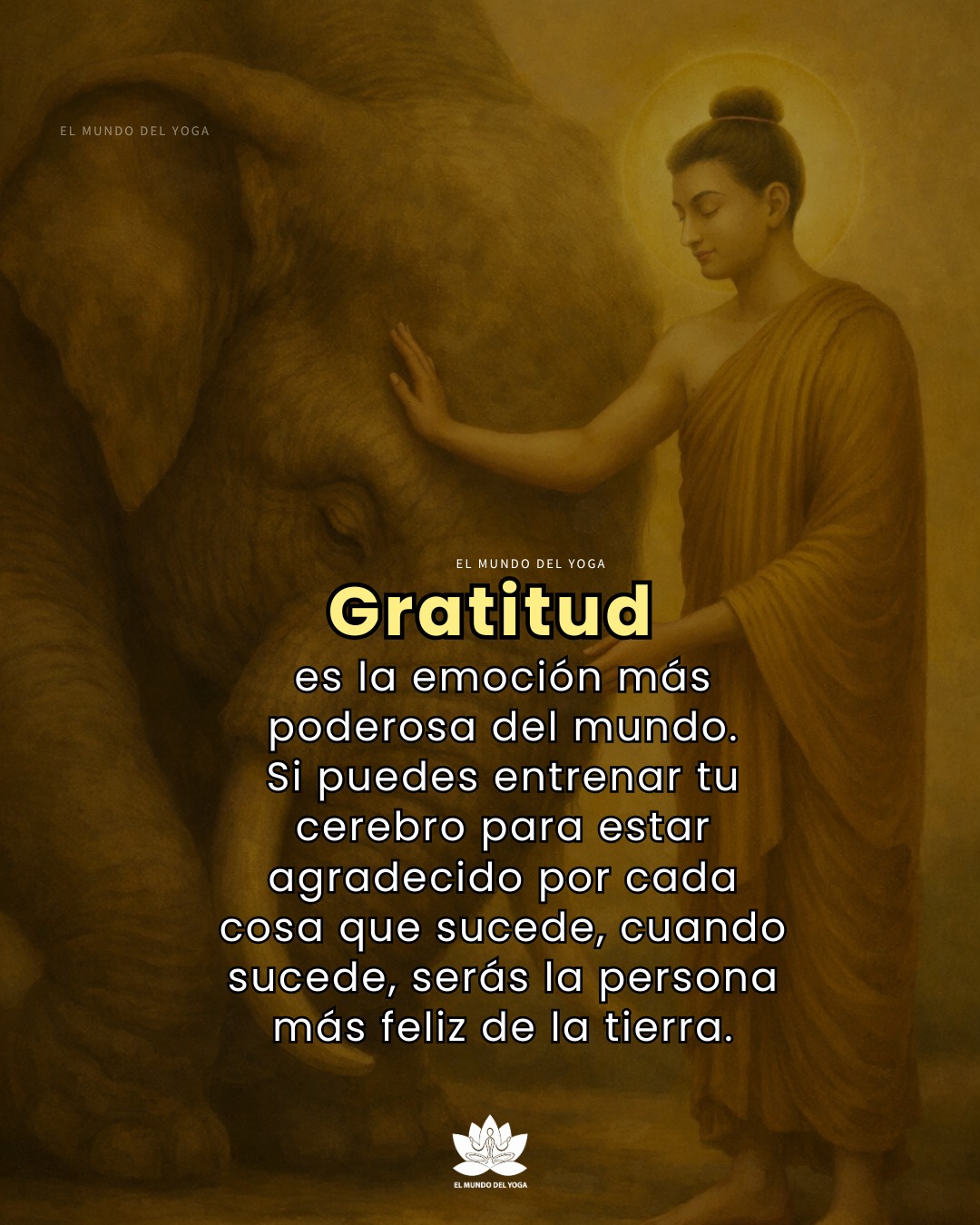 gratitud