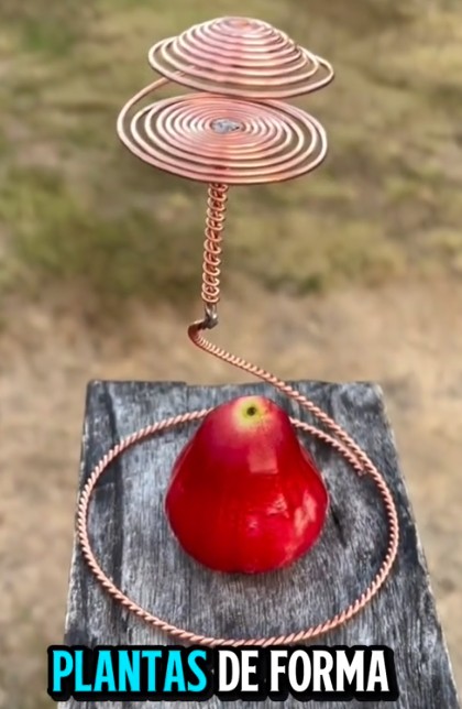 Electrocultura - Agricultura magnética eléctrica