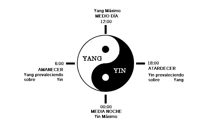 yin yang 22
